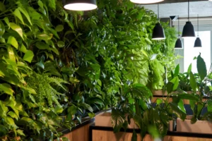 jardim vertical em espaços pequenos