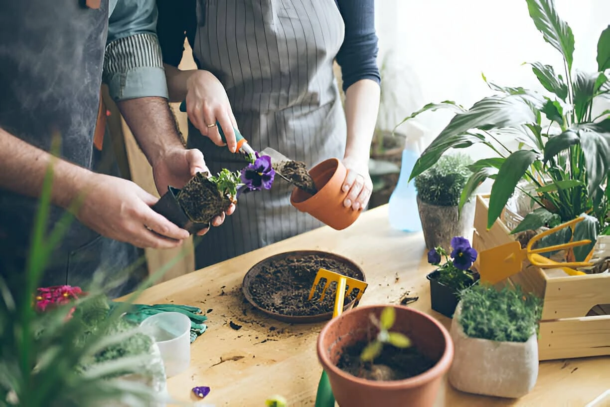 jardinagem para iniciantes