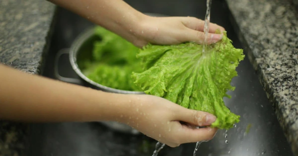 Como Higienizar Alface Corretamente e Eliminar Agrotóxicos: Proteja Sua Família com Dicas Simples