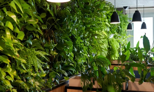 jardim vertical em espaços pequenos